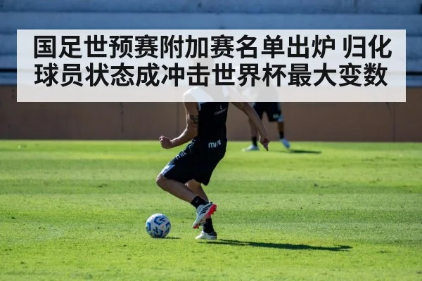 国足世预赛附加赛名单出炉 归化球员状态成冲击世界杯最大变数