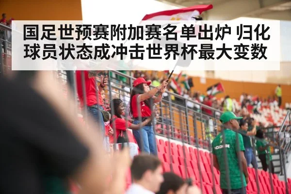 soccer stadium crowd