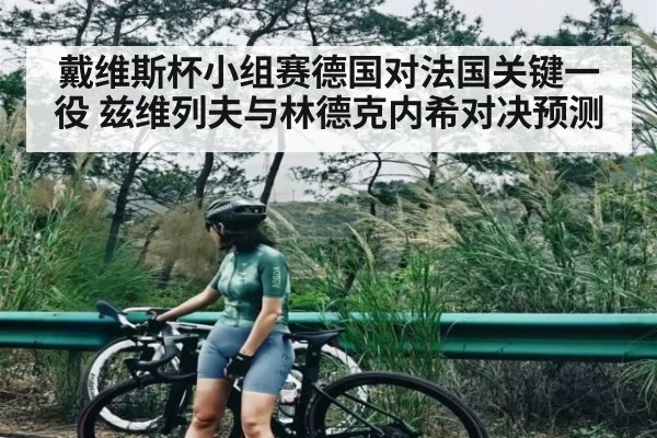 戴维斯杯小组赛德国对法国关键一役 兹维列夫与林德克内希对决预测